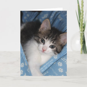 Birthday Wishes "The Purr--fect Birthday" Card