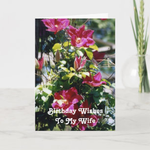 Birthday Wishes, Wife, pretty Clematis blooms . Card