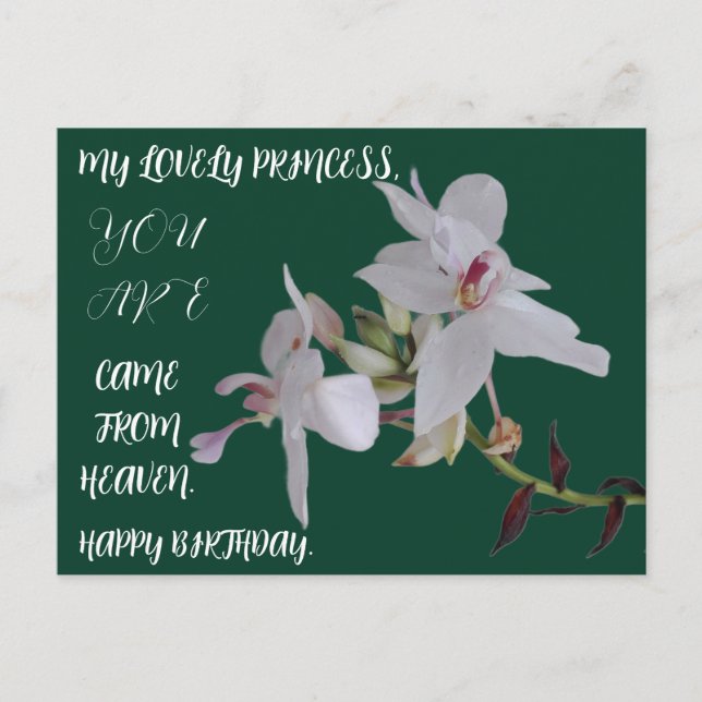 BIRTHDAYDAY FLOWER GIFT FOR DAUGHTER SISTER FRIEND POSTCARD (Front)