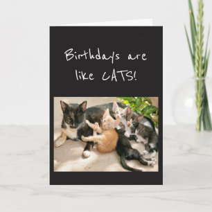 Birthdays are like Cat Animal Humour Card
