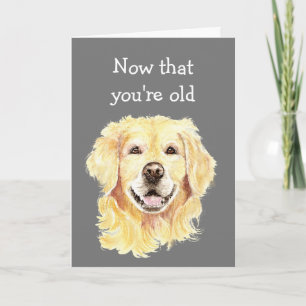Birthdays Fun Senior Discount funny Card