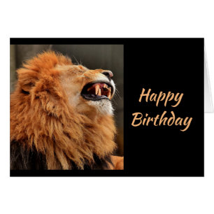Birthdays Old Age Dangerous Sneeze Laughing Lion