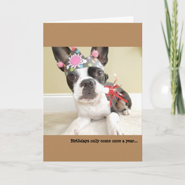 Birthdays only come once a year... Lola B. Boston Card (Front)
