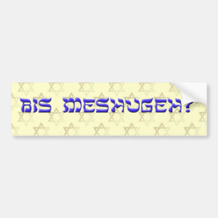 Bis Meshugeh? Bumper Sticker