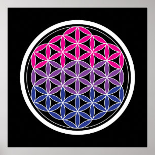 biSacred geometry Poster