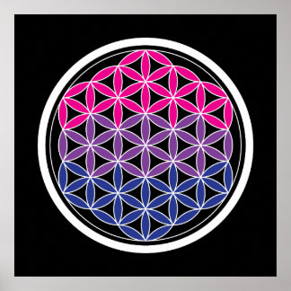 biSacred geometry Poster