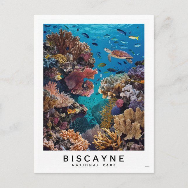 Biscayne National Park Coral Postcard (Front)
