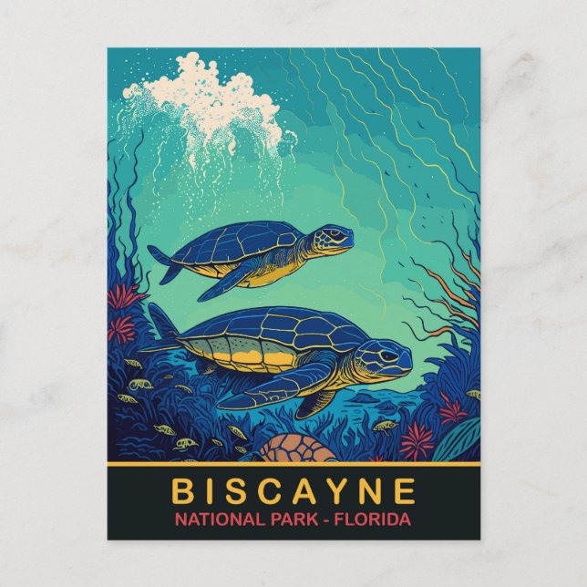 Biscayne, Turtles Underwater, Floraida, Travel Postcard (Front)