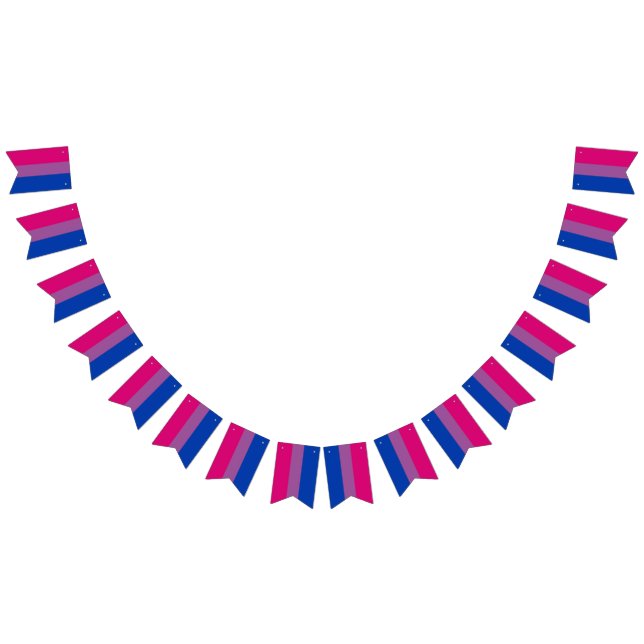 Bisexual Flag Bunting Banner LGBT Party (All)