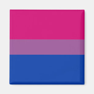 Bisexual Flag & Pride community /gender flag Magne Magnet