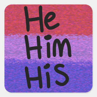 Bisexual he/him pronouns sticker