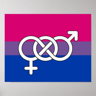 Bisexual Pride Symbol Flag Poster