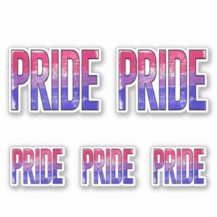Bisexual Pride Word