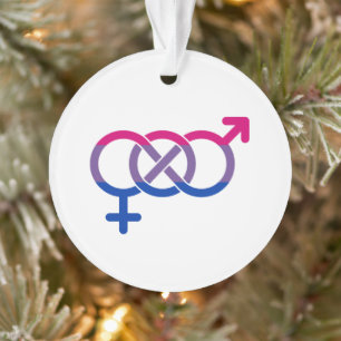 Bisexuality Gender Symbol Ornament