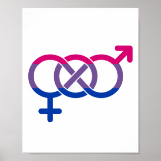 Bisexuality Gender Symbol Poster
