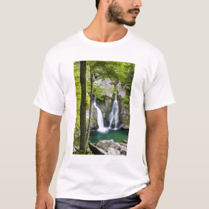 Bish Bash Falls in Bish Bash Falls State Park T-Shirt