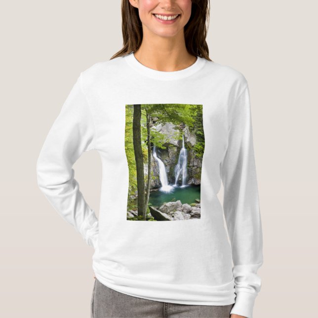 Bish Bash Falls in Bish Bash Falls State Park T-Shirt (Front)
