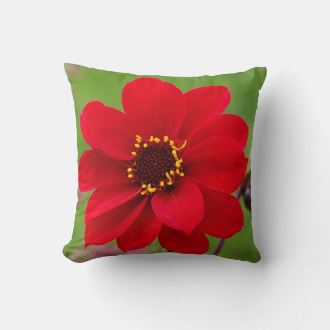Bishop of Llandaff Dahlia Cushion (Front)