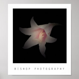 Bishop Photography Poster