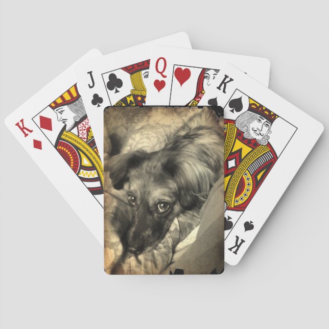 Bisky on Deck Playing Cards (Back)