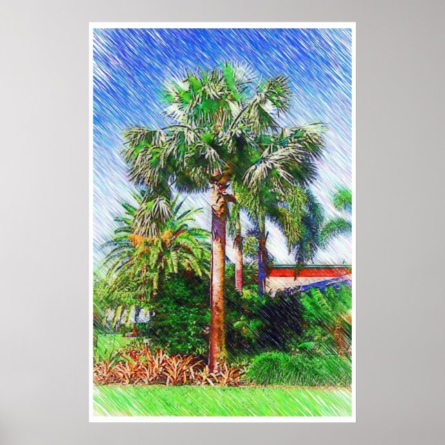 Bismarckia nobilis palm tree, color pencil drawing poster (Front)
