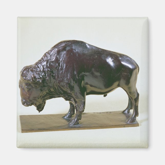 Bison, 1907 magnet (Front)