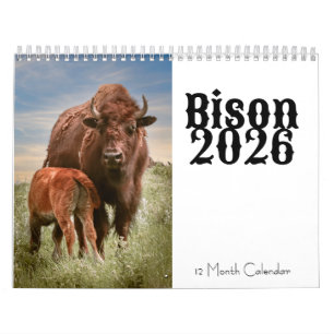 Bison 2026 12 Month Calendar
