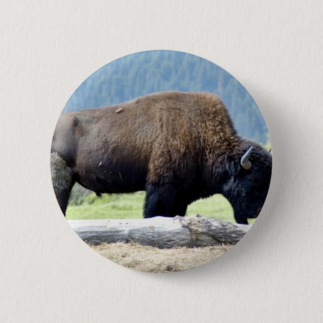 Bison 6 Cm Round Badge (Front)