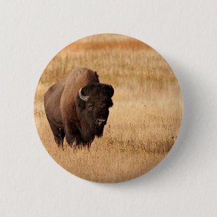 Bison 6 Cm Round Badge