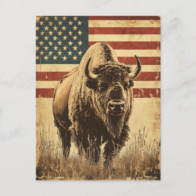 Bison American Flag vintage Postcard (Front)