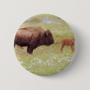 Bison and Calf in Yellowstone 6 Cm Round Badge