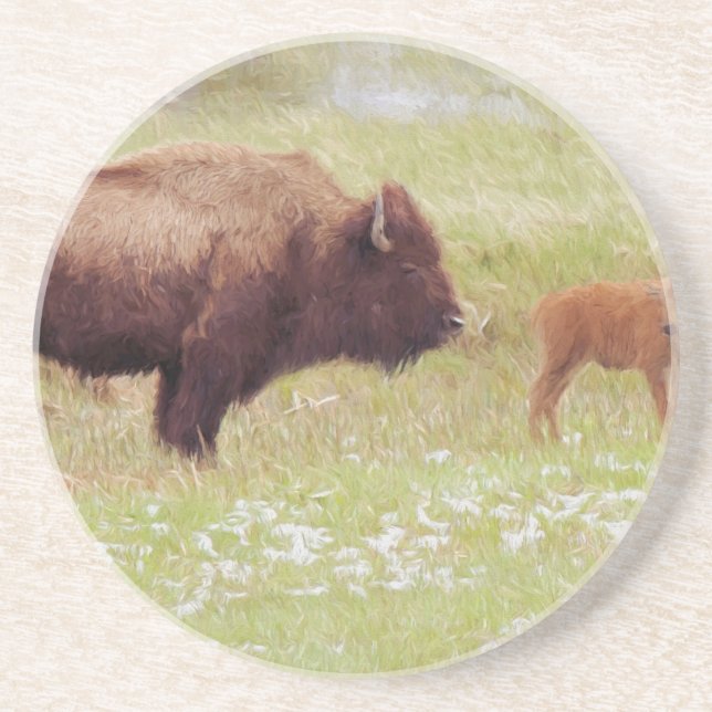 Bison and Calf in Yellowstone Coaster (Front)