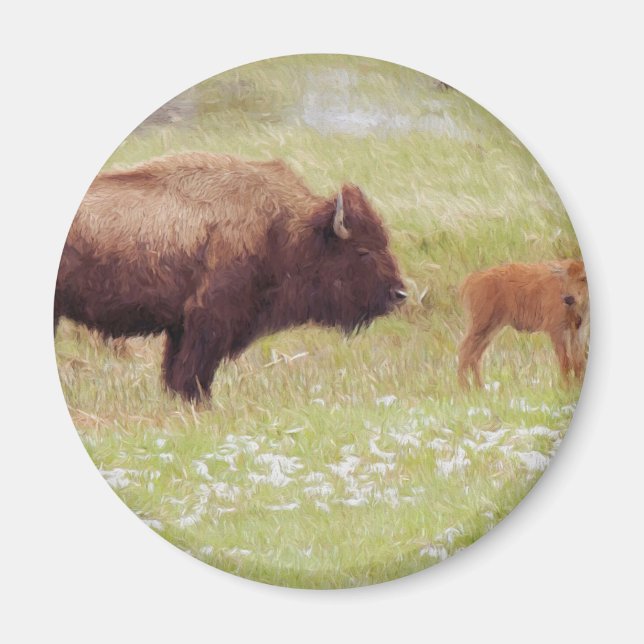 Bison and Calf in Yellowstone Magnet (Front)