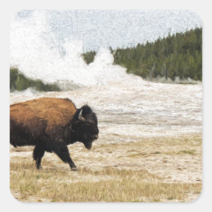 Bison and Old Faithful Square Sticker