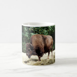 Bison animal coffee mug