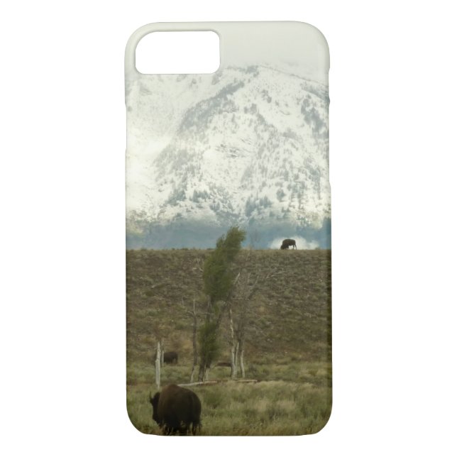 Bison at Grand Teton National Park Photography Case-Mate iPhone Case (Back)