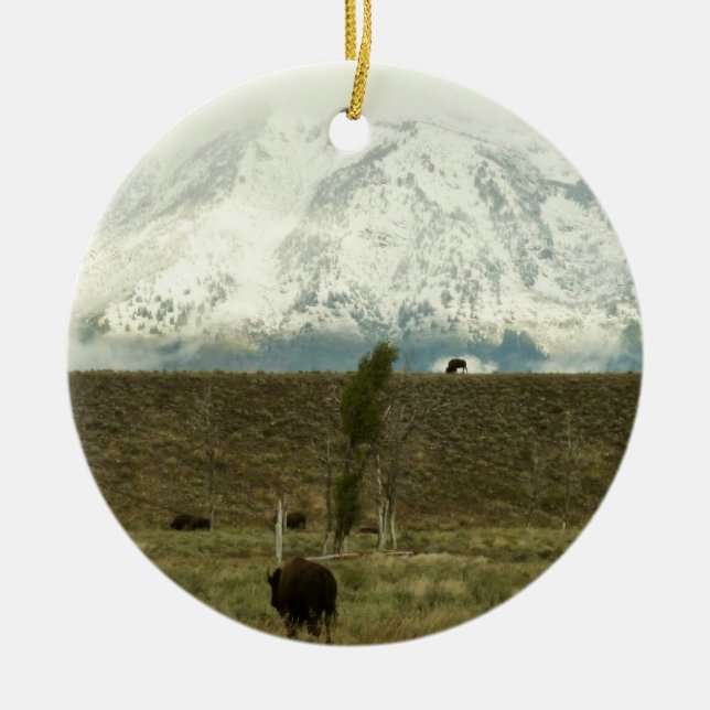 Bison at Grand Teton National Park Photography Ceramic Tree Decoration (Front)