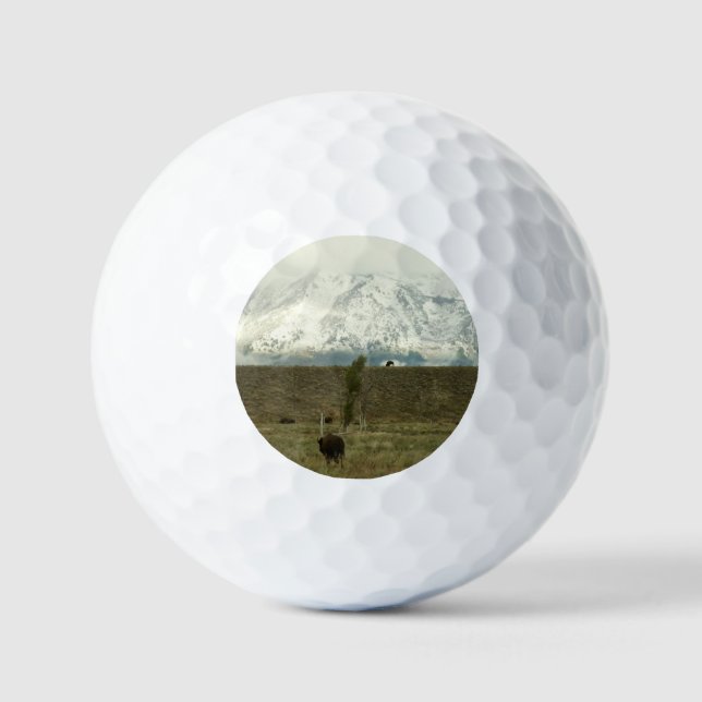 Bison at Grand Teton National Park Photography Golf Balls (Front)