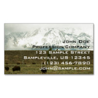 Bison at Grand Teton National Park Photography
