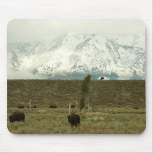 Bison at Grand Teton National Park Photography Mouse Mat