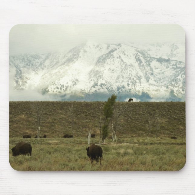 Bison at Grand Teton National Park Photography Mouse Mat (Front)