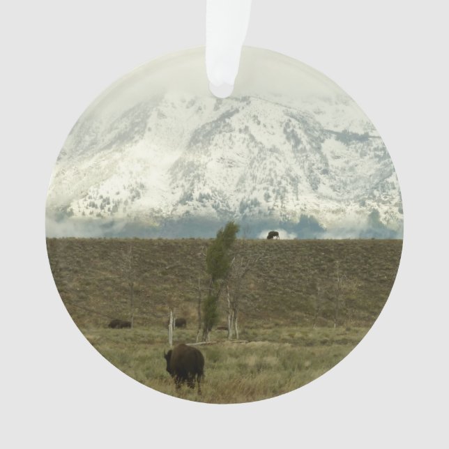 Bison at Grand Teton National Park Photography Ornament (Front)