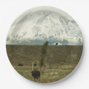 Bison at Grand Teton National Park Photography Paper Plate