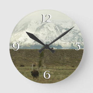 Bison at Grand Teton National Park Photography Round Clock