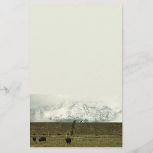 Bison at Grand Teton National Park Photography Stationery