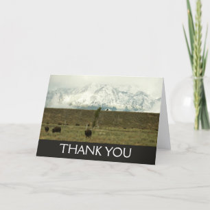 Bison at Grand Teton National Park Photography Thank You Card