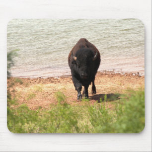 Bison at the Water Mouse Mat