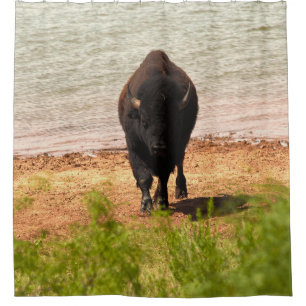 Bison At The water Shower Curtain