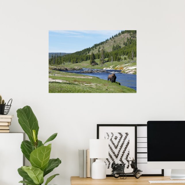 Bison at Yellowstone National Park Poster (Home Office)