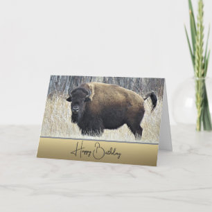 Bison - Birthday Card
